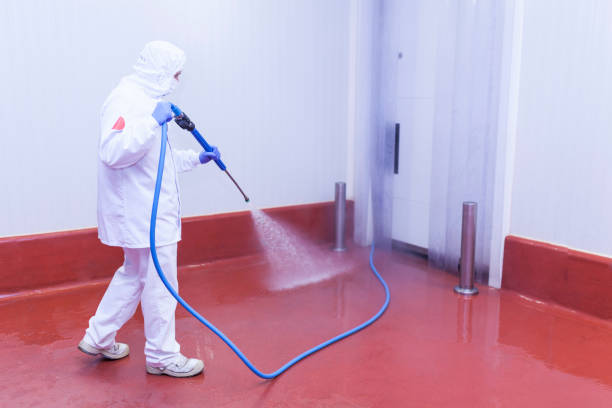 Trusted Sheffield, IA Pressure Washing Services Experts